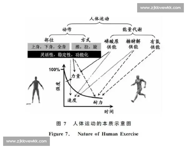 提升日常生活与运动表现的全方位平衡能力训练策略 提升日常生活与运动表现的全方位平衡能力训练策略